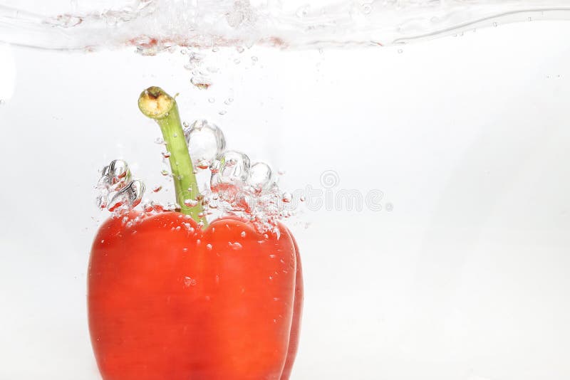 Red paprika in the water stock photo. Image of water 144440870