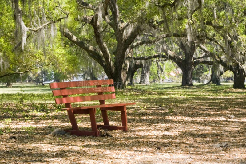 Beautiful red banch in Live Oak forest with Spanish Moss. Beautiful red banch in Live Oak forest with Spanish Moss