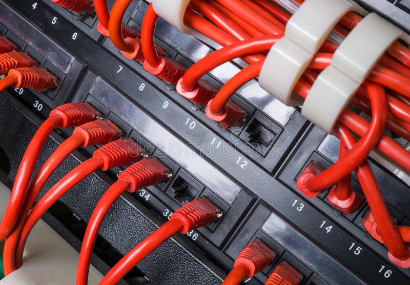 Red patch cord cables connected to black switch royalty free stock photo