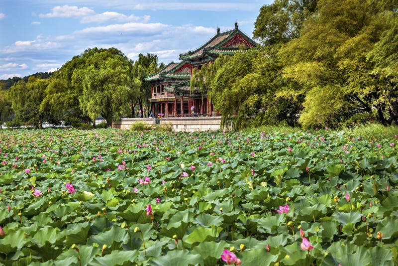 Red Pavilion Lotus Garden Summer Palace Park Beijing China