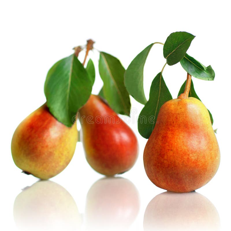 Red pears with leaves