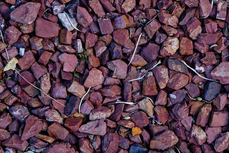 Red Pebbles Close Up Mulching Beds. Landscaping of Parks. Stock Photo