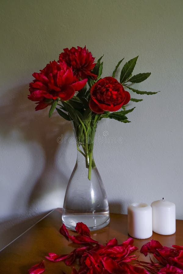 Red peonies in glass vase, white candles on wooden commode across white wall. Interior design. Home decor. lights and shadows concept.