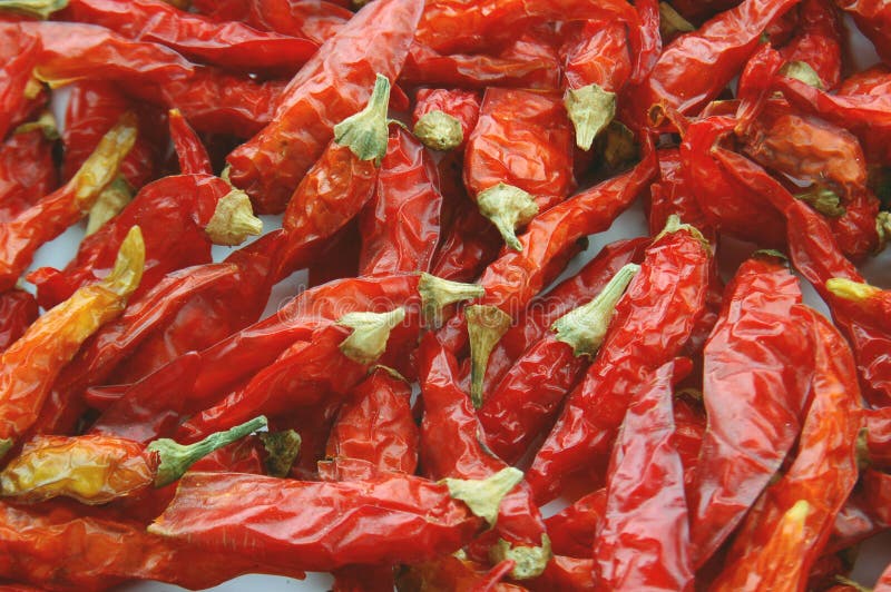 Facing heaven peppers stock photo. Image of pointing 32011432