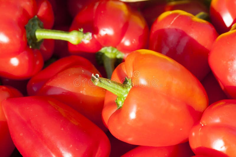 Red Peppers stock photo. Image of stall, peppers, europe 77714080