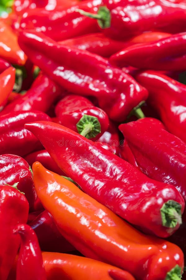 Red peppers. Raw vegetables and fruits background. Healthy organic food concept. A group of fresh and clean red peppers. vertical royalty free stock photography Red peppers. Raw vegetables and fruits background. Healthy organic food concept. A group of fresh and clean red peppers. vertical royalty free stock photography