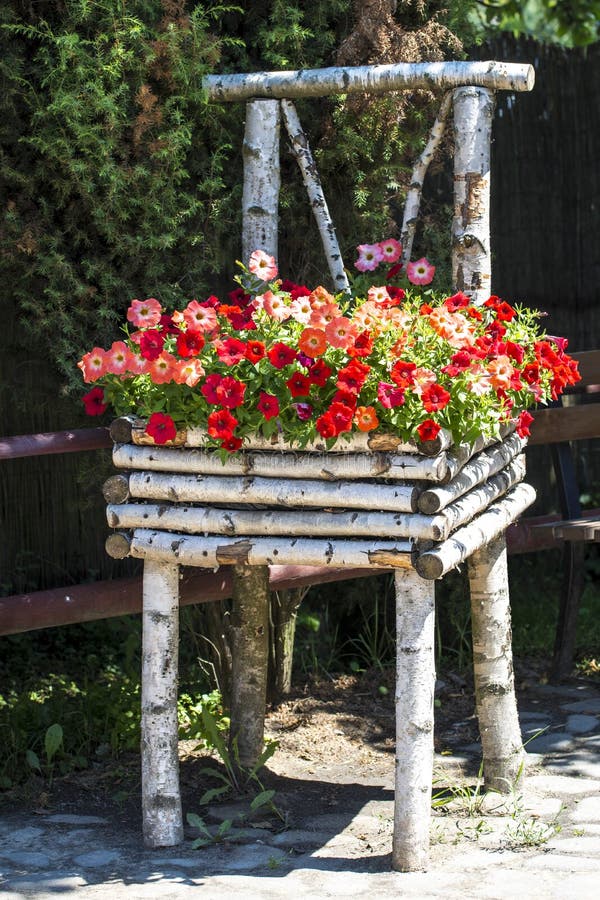 Birch Chair with Petunias