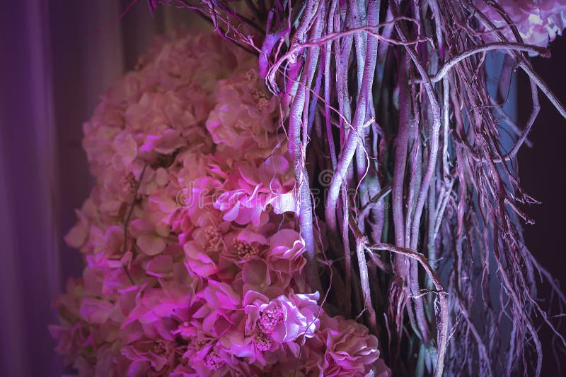 Red Pink Flower Abstract Background Stock Photo Image of colorful