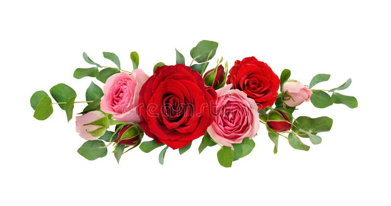Red and pink rose flowers with eucalyptus leaves in a line arrangement stock images Red and pink rose flowers with eucalyptus leaves in a line arrangement stock images