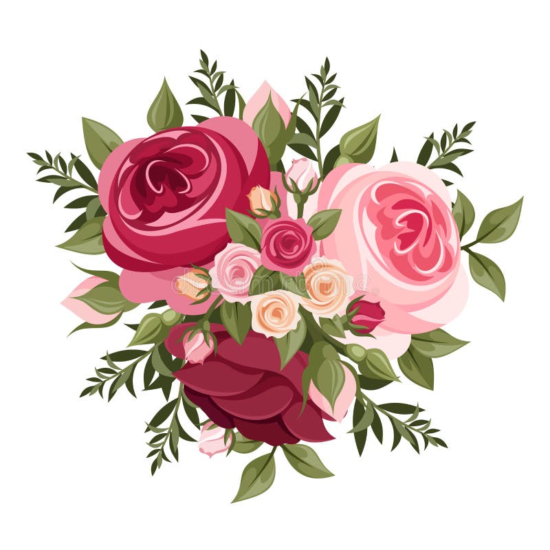 Rosas rojas y rosadas.  Ilustración vectorial.  Foto de archivo - Ilustración de flor, naranja: 42148336