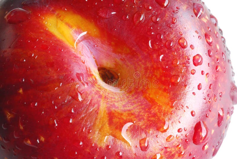 Red plum stock image. Image of nutrition, delicious, dessert 3160905