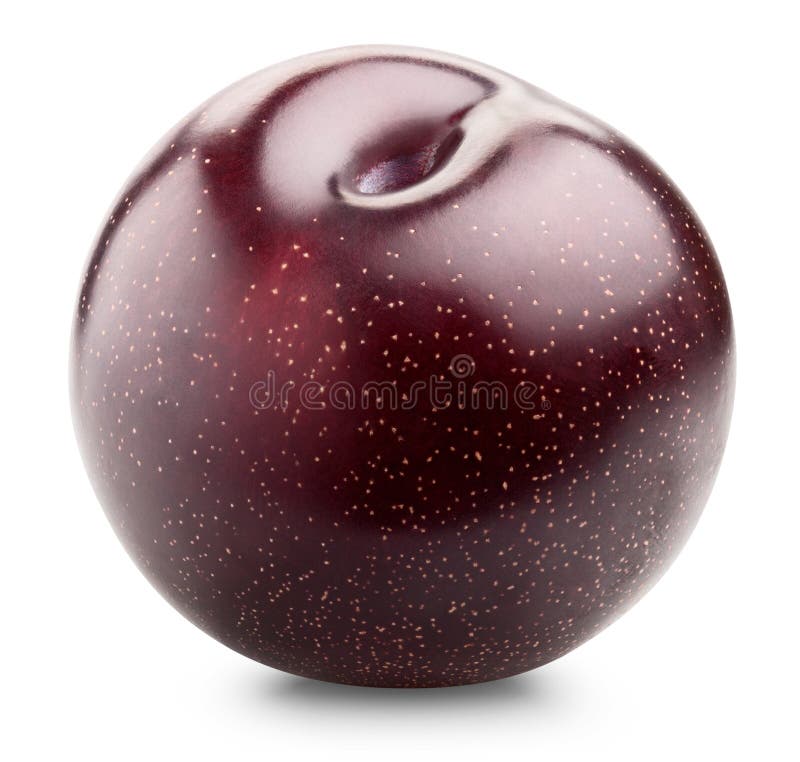 One perfect plum. stock image. Image of fruit, blue, purple 35846777