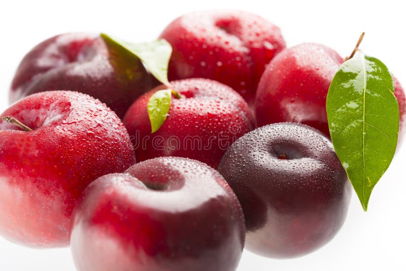 Red Plums Isolated on White Stock Image Image of acid, closeup 47192071