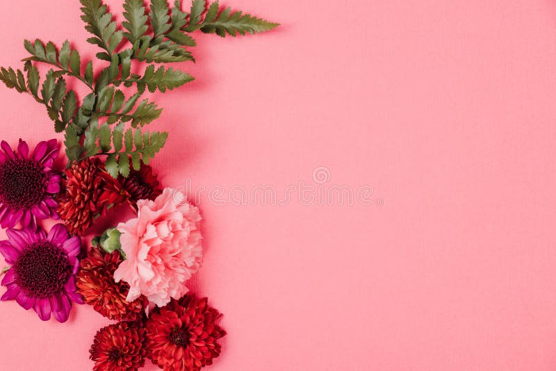 Pink Background with Red, Pink and Purple Flowers Stock Image - Image ...