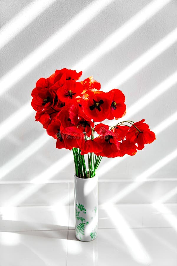 Red Poppies Vase With Beautiful Red Poppy Flowers Bouquet Of Red Poppies Stock Photo Image Of Beauty Decoration Red Poppies Vase With Beautiful Red Poppy Flowers Bouquet Of Red Poppies Stock Photo Image Of Beauty Decoration