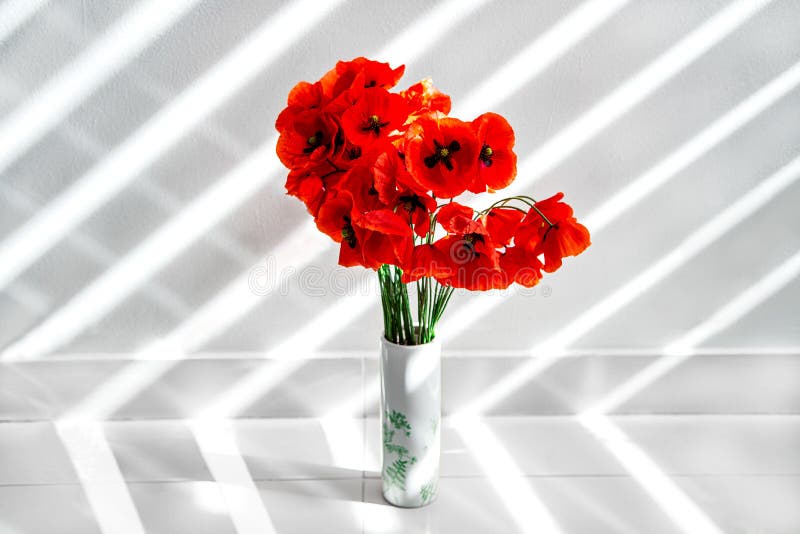 Red poppies. Vase with beautiful red poppy flowers. Bouquet of red poppies