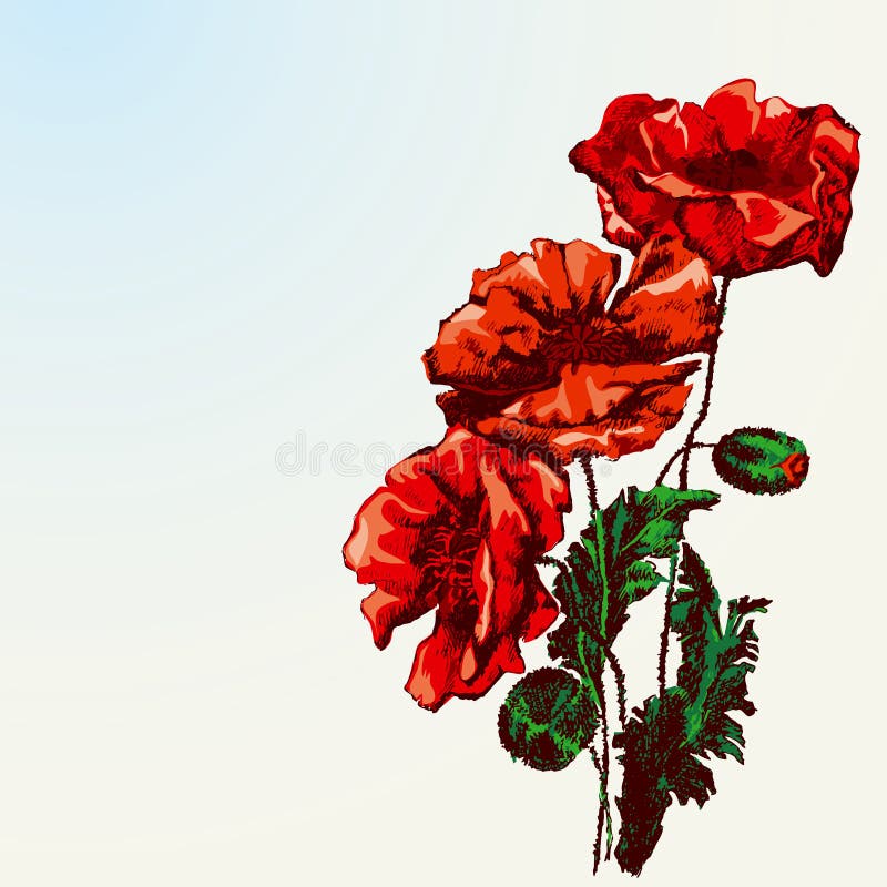 Free Stock Photo: Illustration of a red flower | Flower drawing, Flower  clipart, Clip art borders