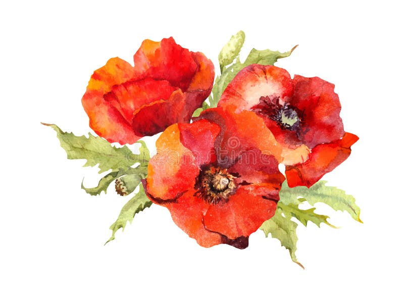 Red poppy flowers bouquet. Watercolor design for Memorial, Anzac day