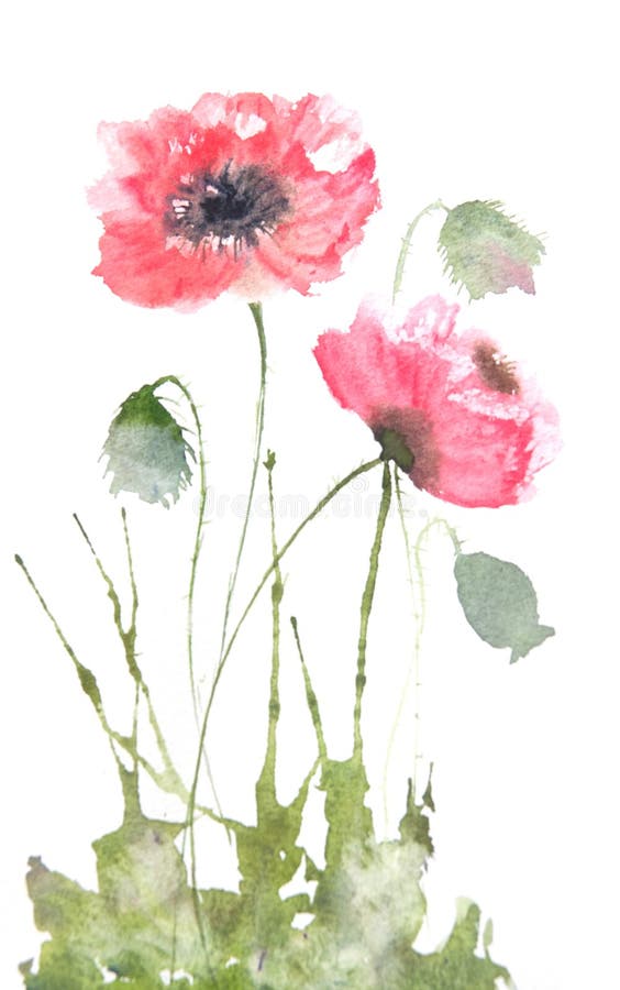 Red Poppy Flowers Modern Art Style Watercolor Painting Stock ...