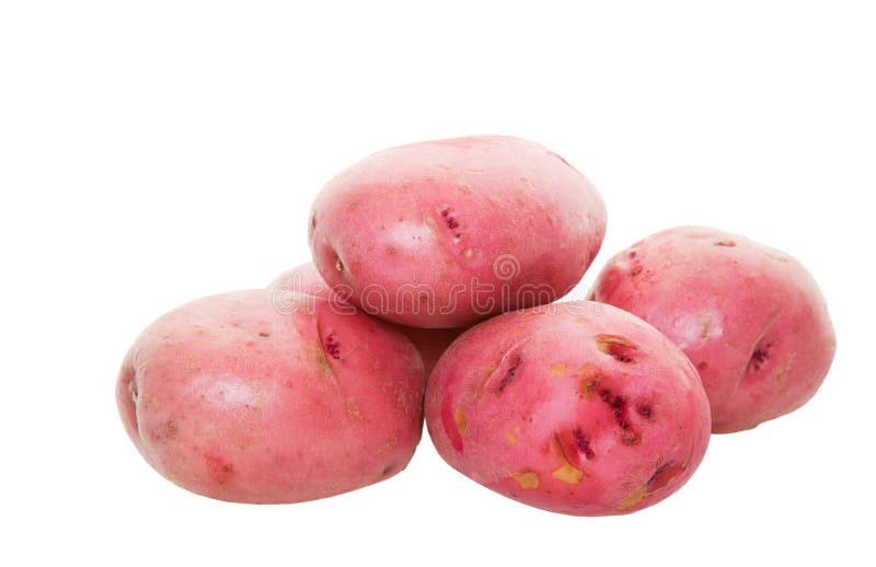Sweet potato stock photo. Image of protein, potato, japanese 21590322