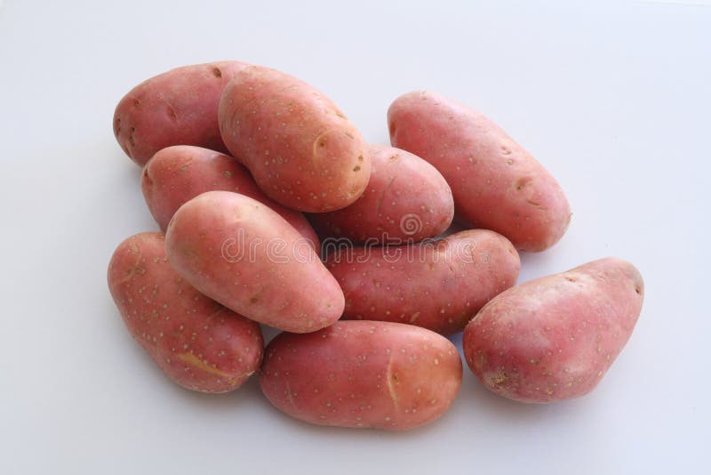 Whole Roseval potatoes stock photo. Image of uncooked - 15735456