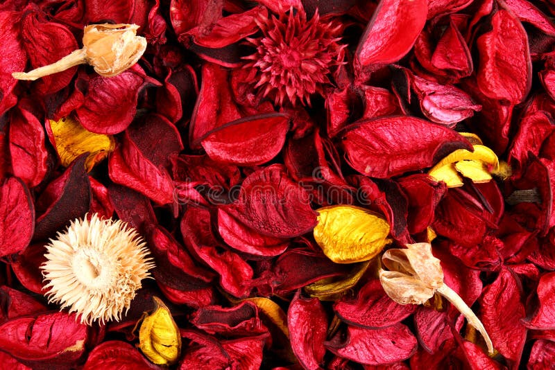 Red Dried Flowers Aromatherapy Potpourri Background Stock Image Image of color, bottom 112087343