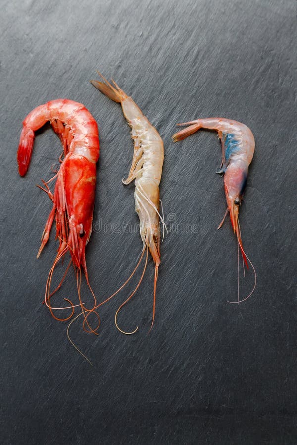 Red Red Prawn, White Prawn and Shrimp on Dark Background Stock Photo