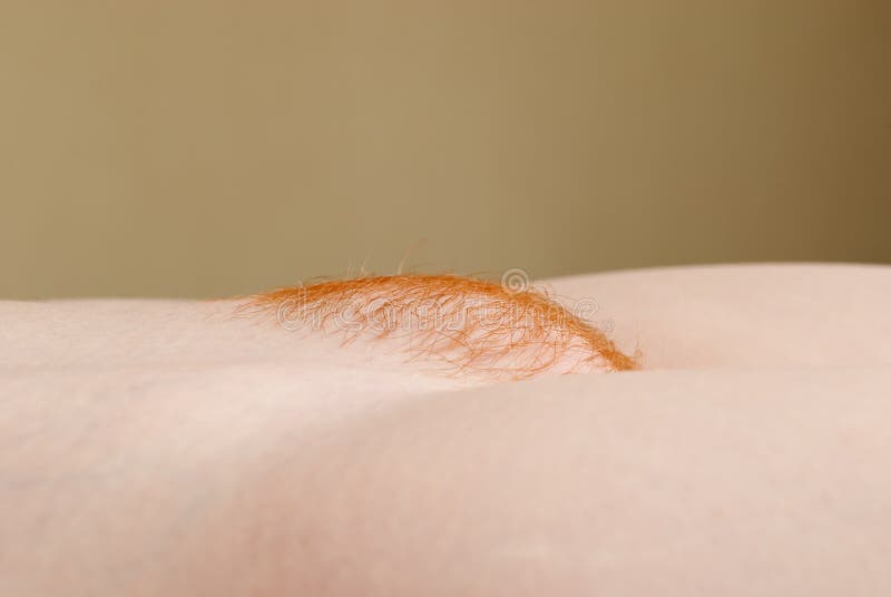 Red pubic mound stock image. Image of hair, pubic, thigh - 14702847 Red pubic mound stock image. Image of hair, pubic, thigh - 14702847