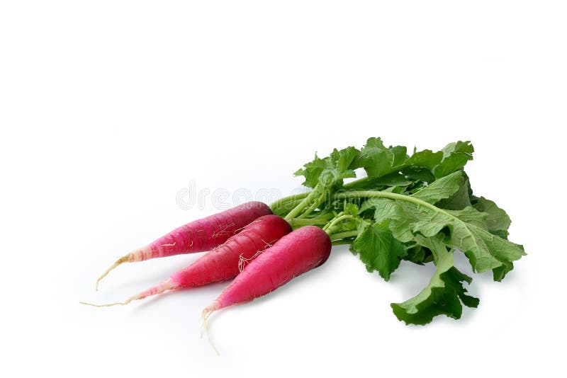 Red radish