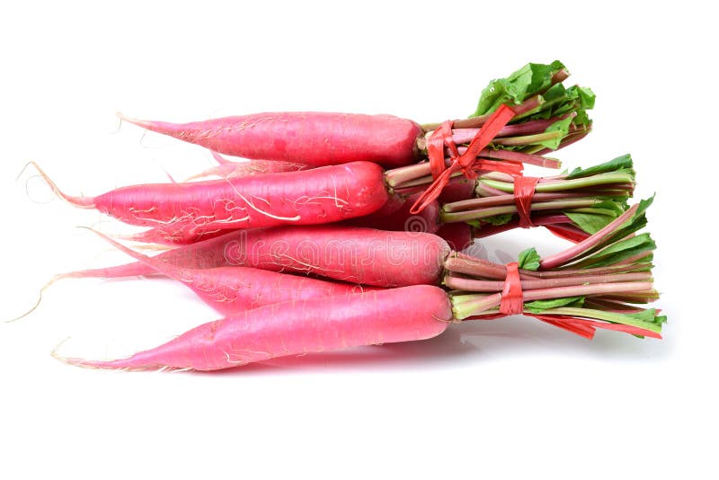 Red radish