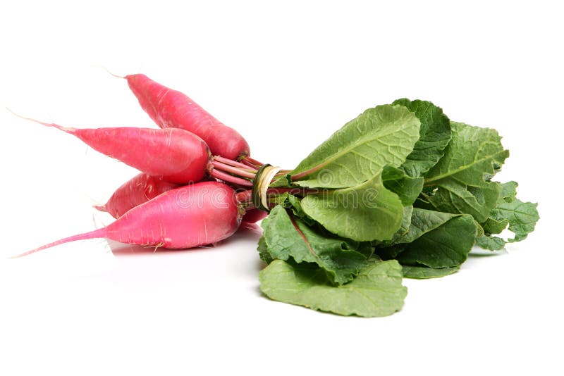 Red radish stock photo. Image of turnip, natural, healthy 104747784