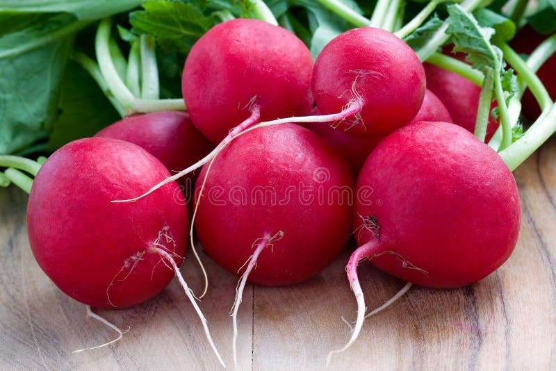 Red Radishes stock photo. Image of board, leaves, cutting 29677288