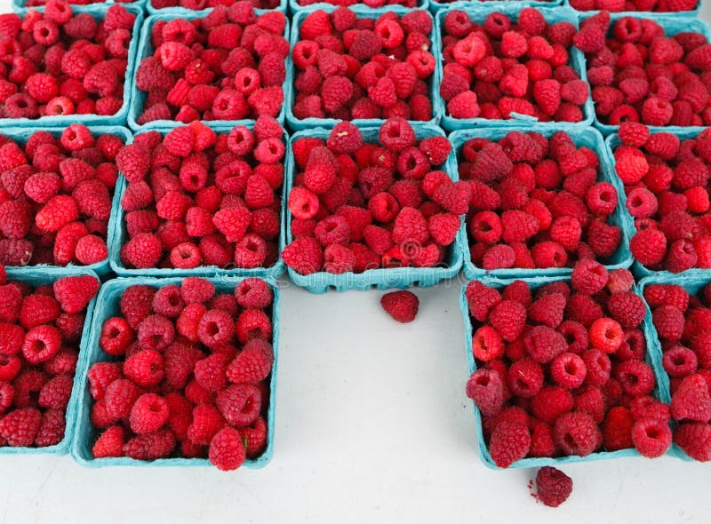 Red Raspberries Fruit Produce