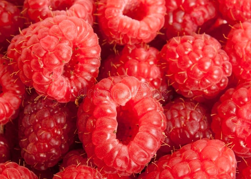 Red raspberry