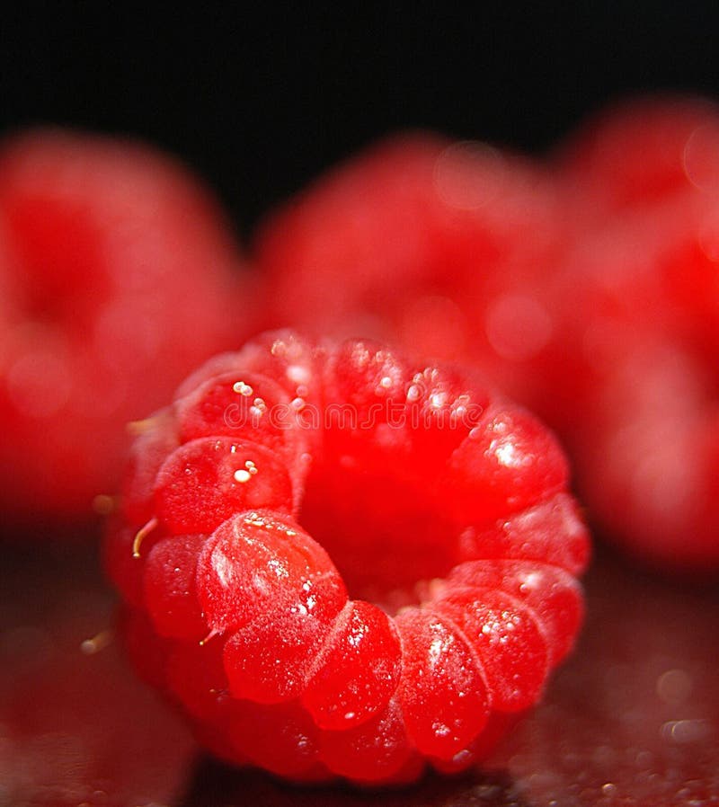 Red Raspeberries