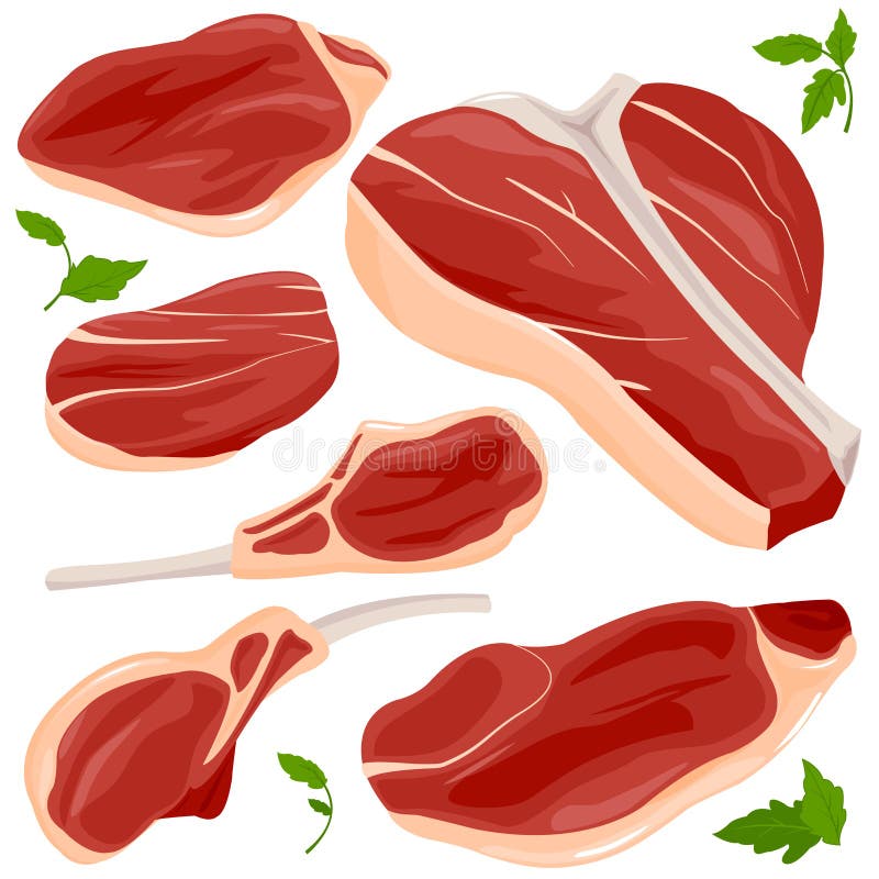 Red Raw Meat and Steaks. Vector Illustration Collection. Stock Vector
