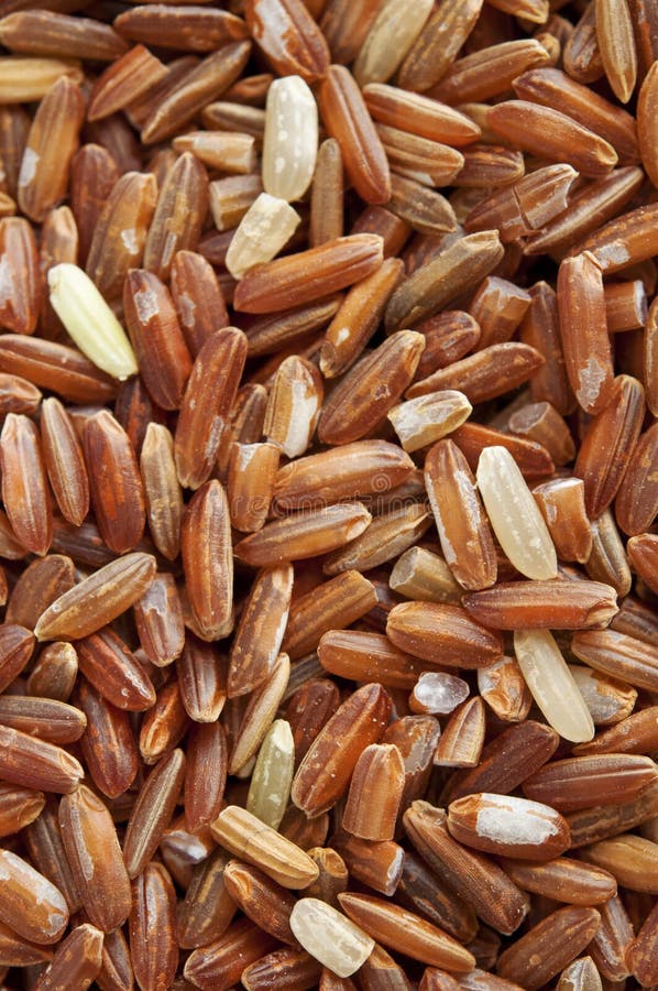 Red rice background stock images