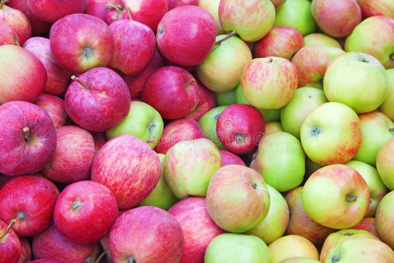 Red ripe apple background