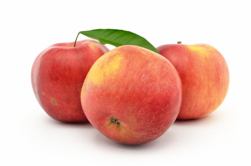 Red, ripe apples Jonagold isolated on white background