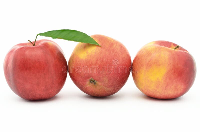 Red, ripe apples Jonagold isolated on white background