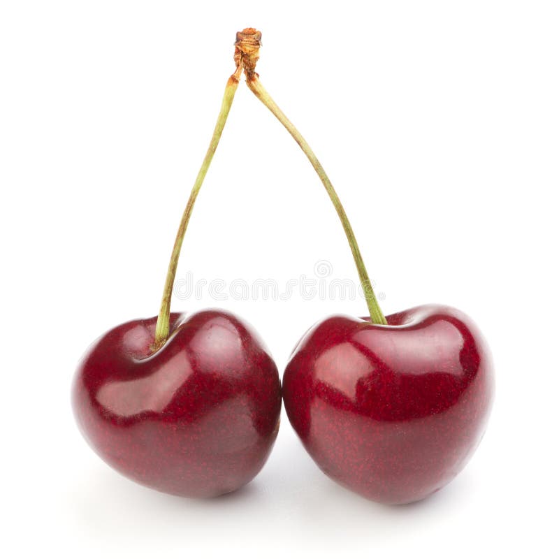 Twin cherries stock photo. Image of diet, ripe, white - 3948908