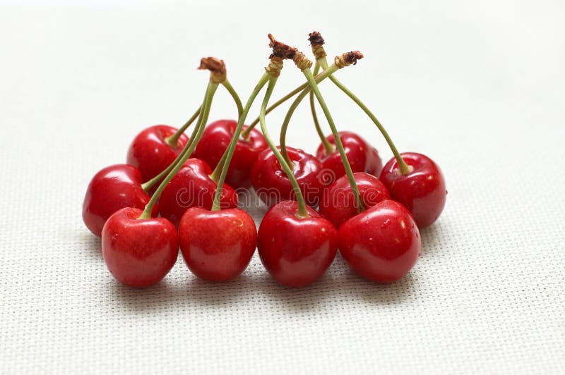 Red riped cherry