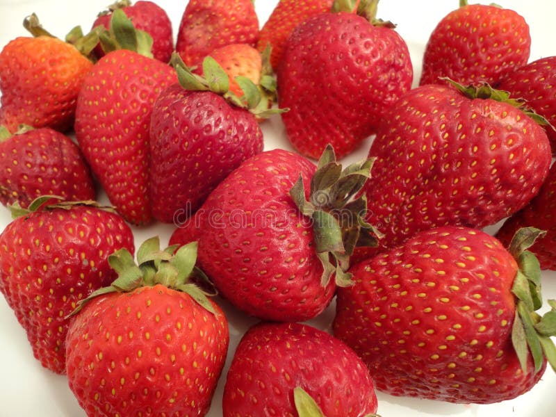 Red Ripened Strawberries stock photo. Image of strawberries 15951424