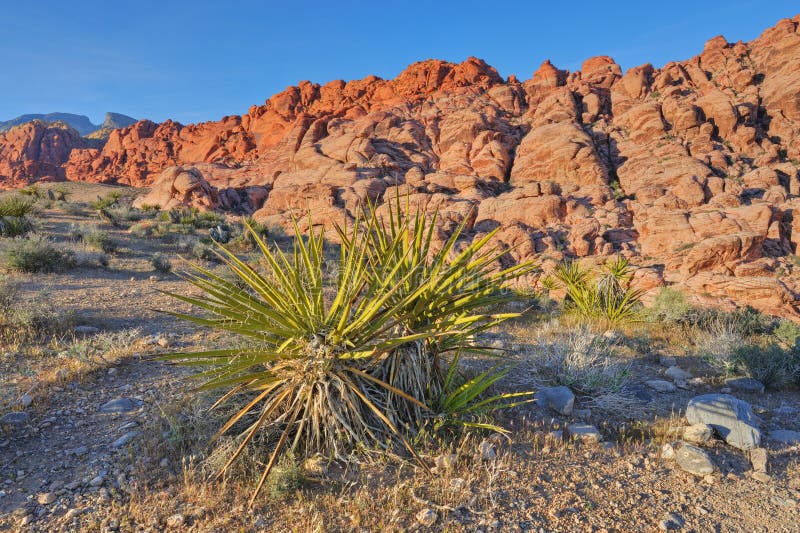 Red Rocks canyon Las vegas stock image. Image of rock - 9949277