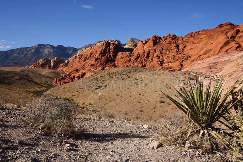 5,681 Red Rock Canyon Las Vegas Nevada Stock Photos Free & Royalty