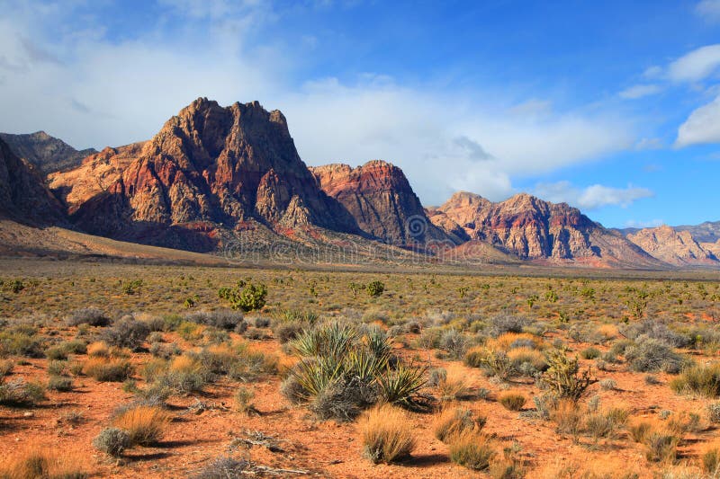 Red rock canyon landscape stock image