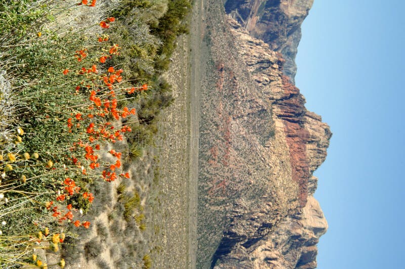 Red rock canyon Nevada