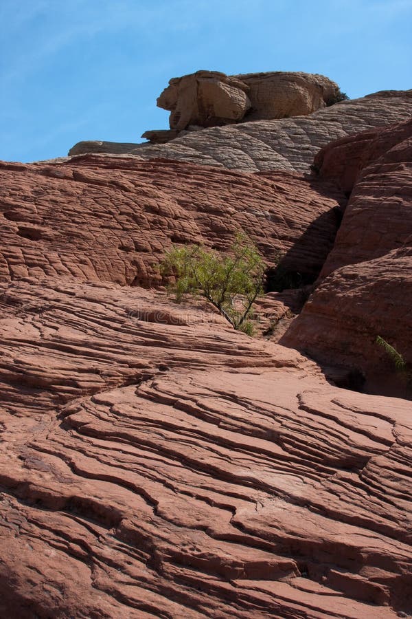 Red Rock Canyon west of Las Vegas, Nevada