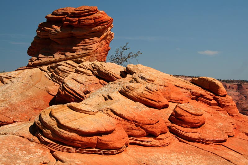 Red Rock Coins