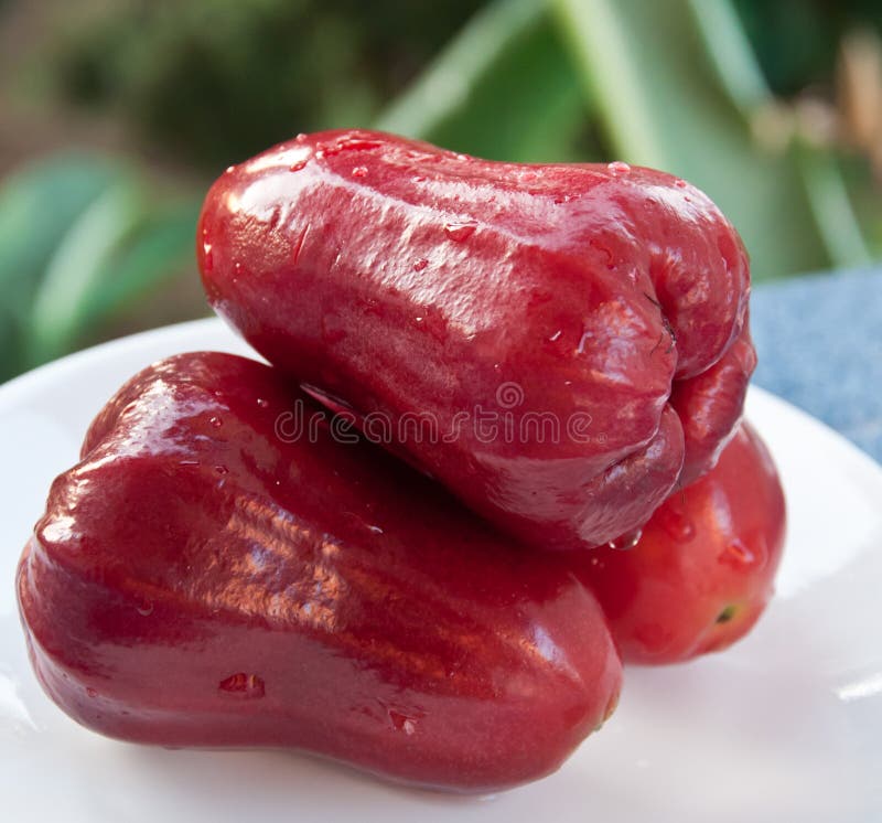 Red rose apple stock photo. Image of food, love, slice 22694258